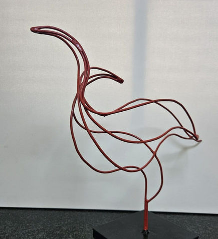 ציפור, עוף, מעוף, המראה, נסיקה, תקוה, מבט על, שיקום, התחדשות