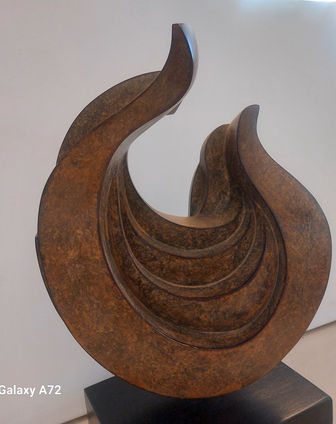 ציפורים, עופות, שיח ציפורים, אילו ציפורים