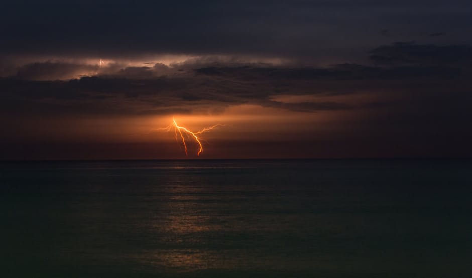gold flash.jpeg