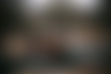 Zeytin hasadında ağaç altına file seren işçiler