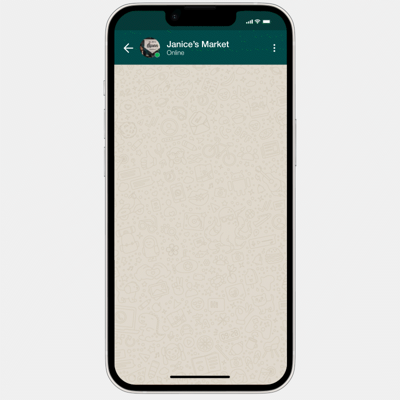 WhatsApp Bot Phone Animation 2.gif
