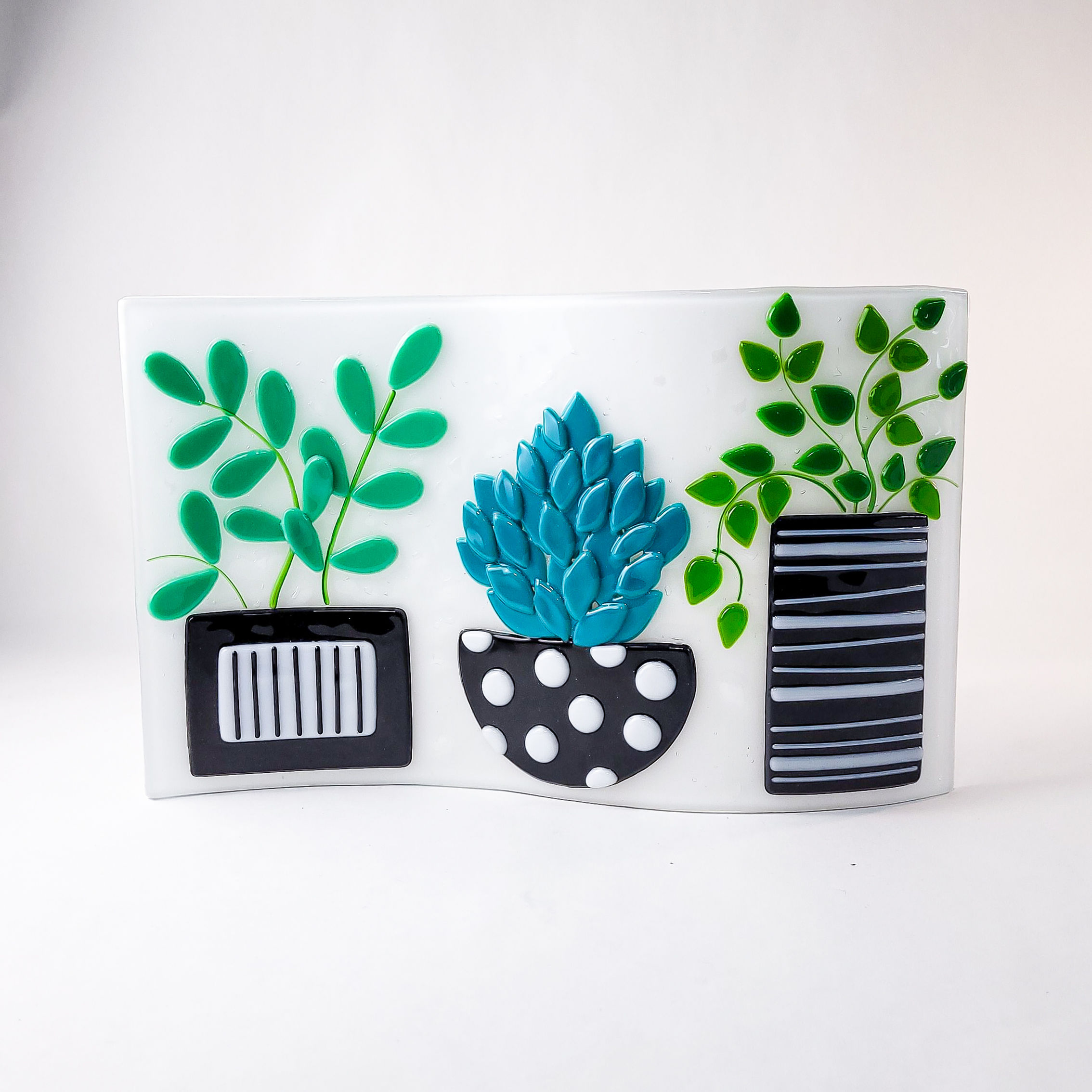 Succulent Serenity Wave