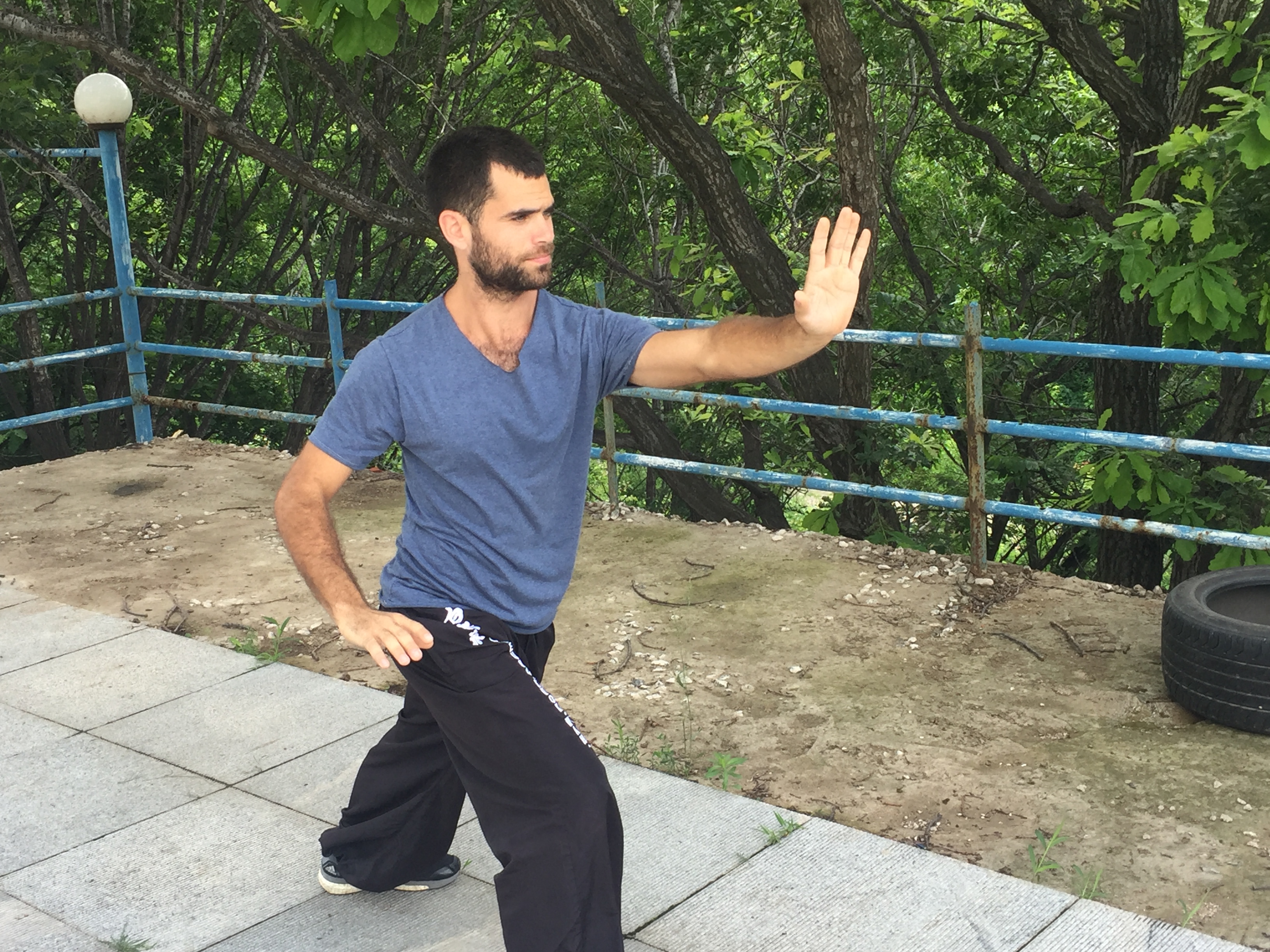 Tai Chi Basics