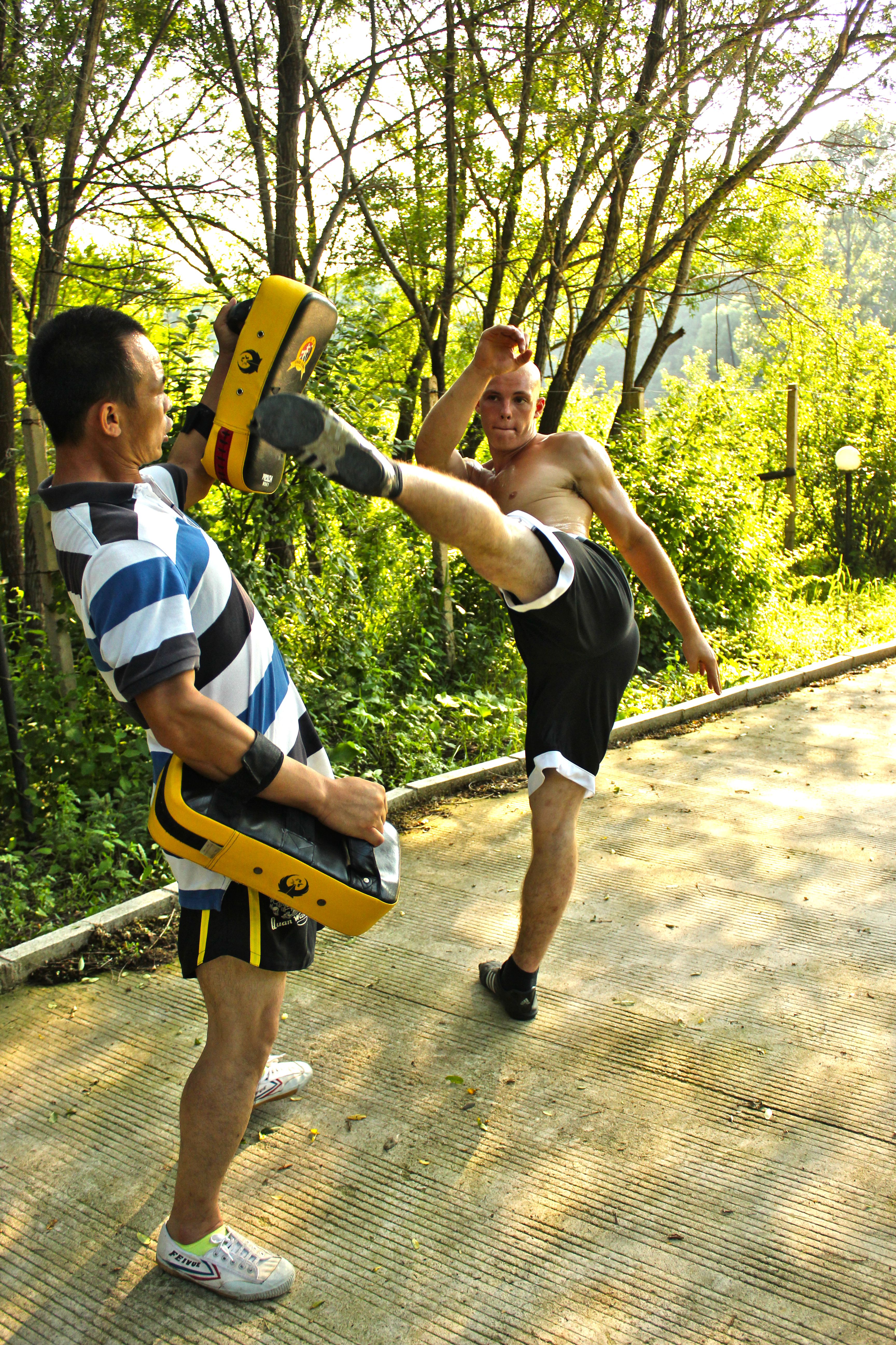 Roundhouse Kick