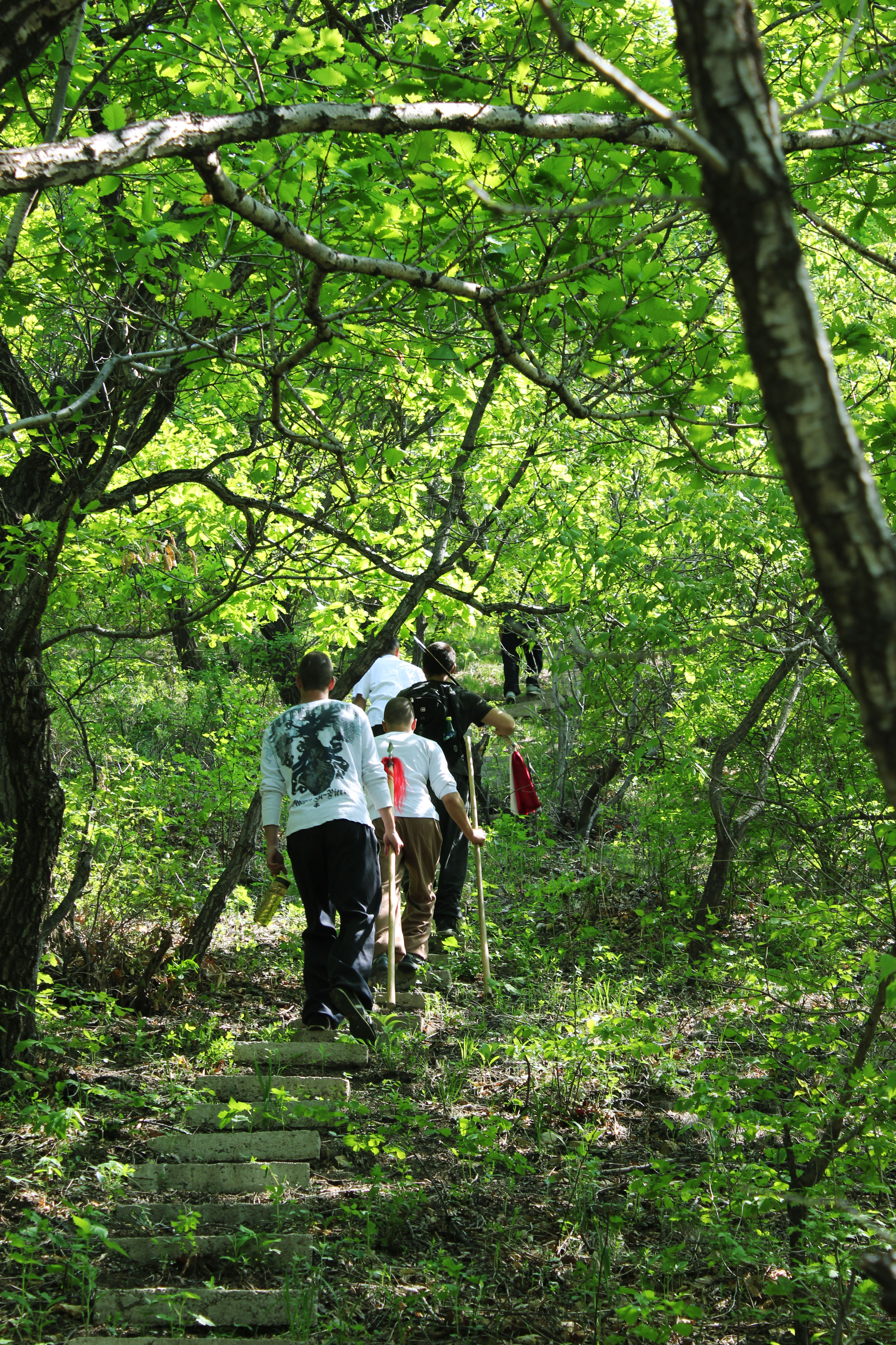 Hiking