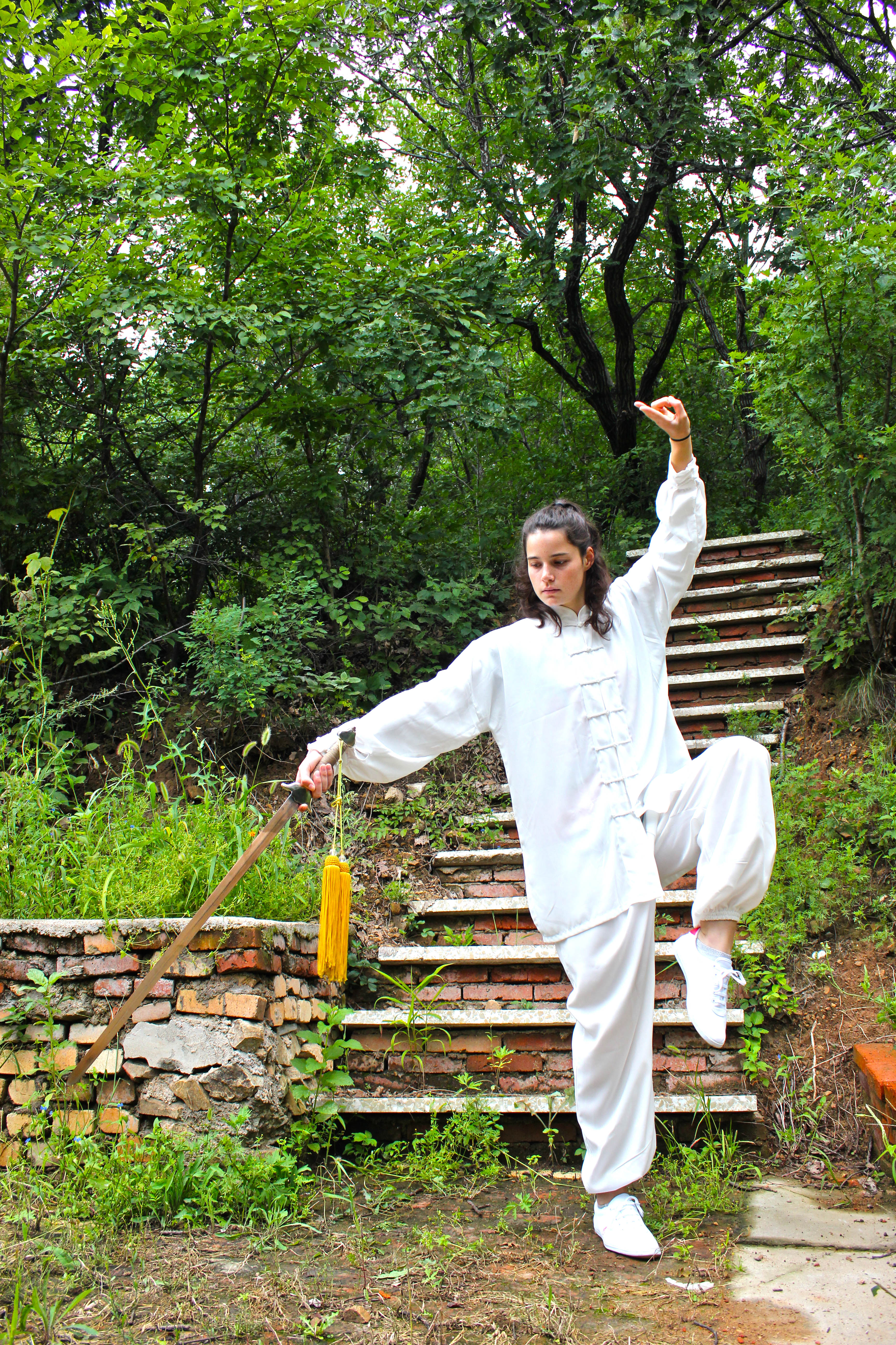 Tai Chi Sword