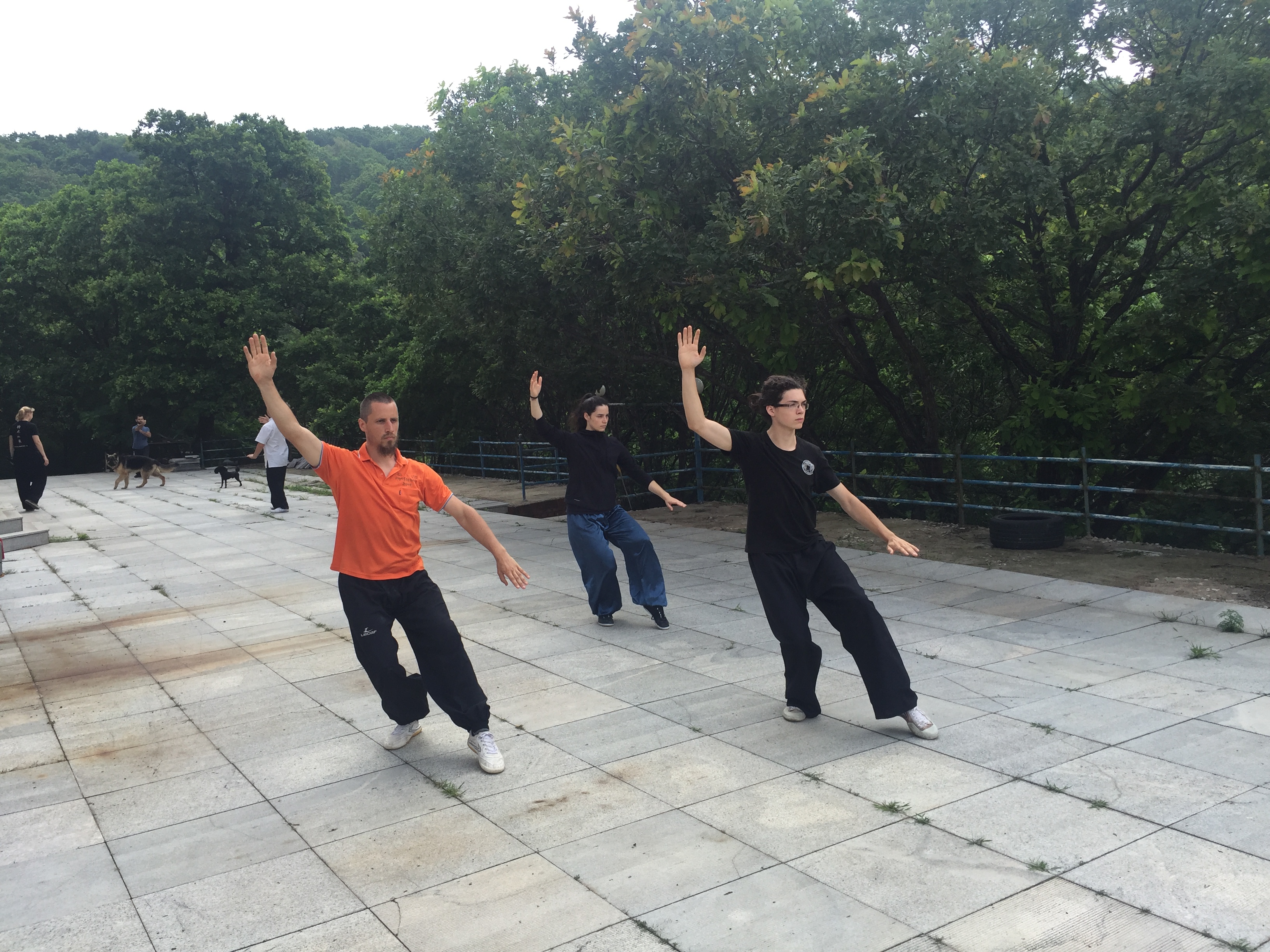 Tai Chi 24-Step