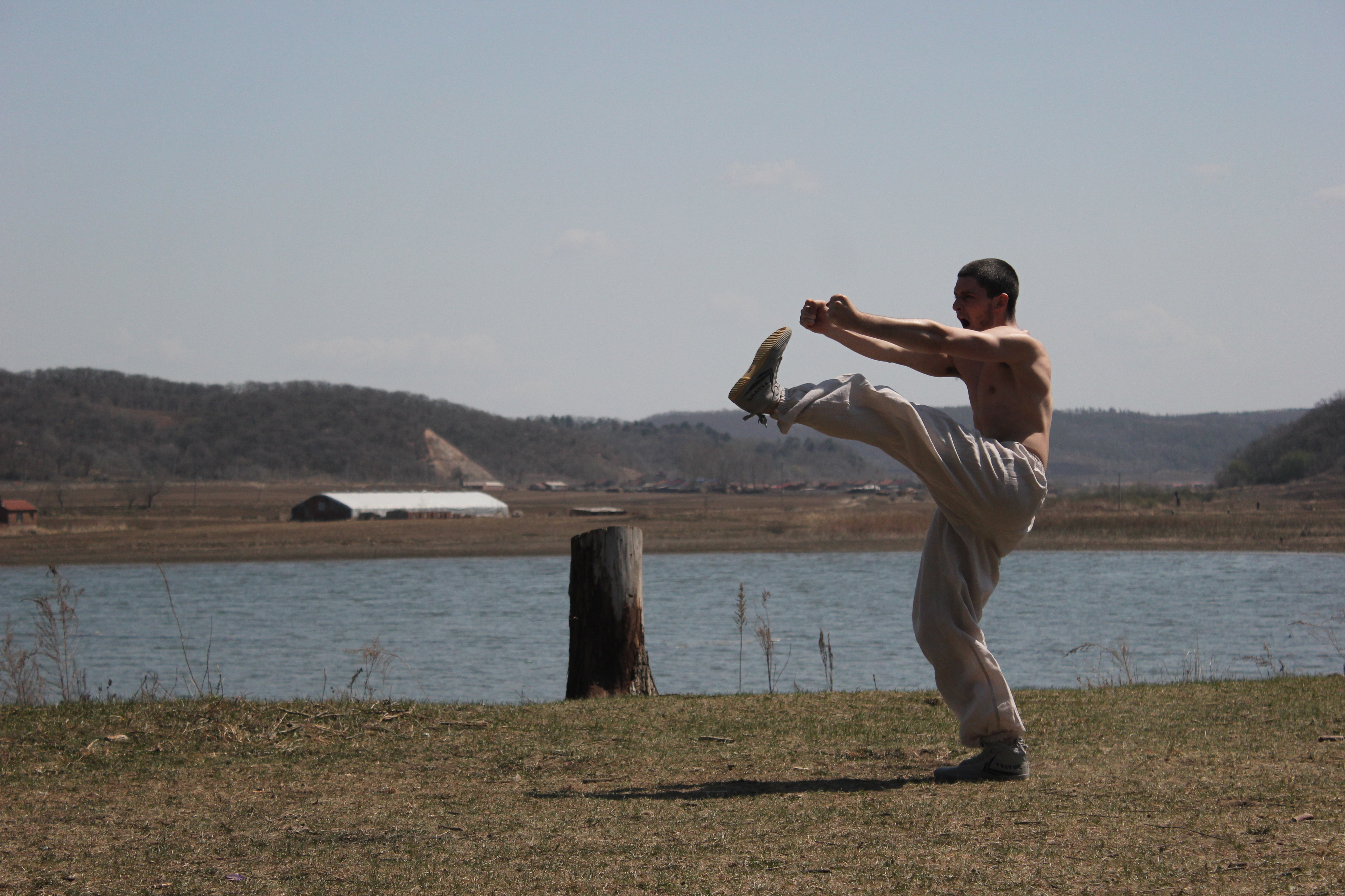 Shaolin Cannon Fist Form