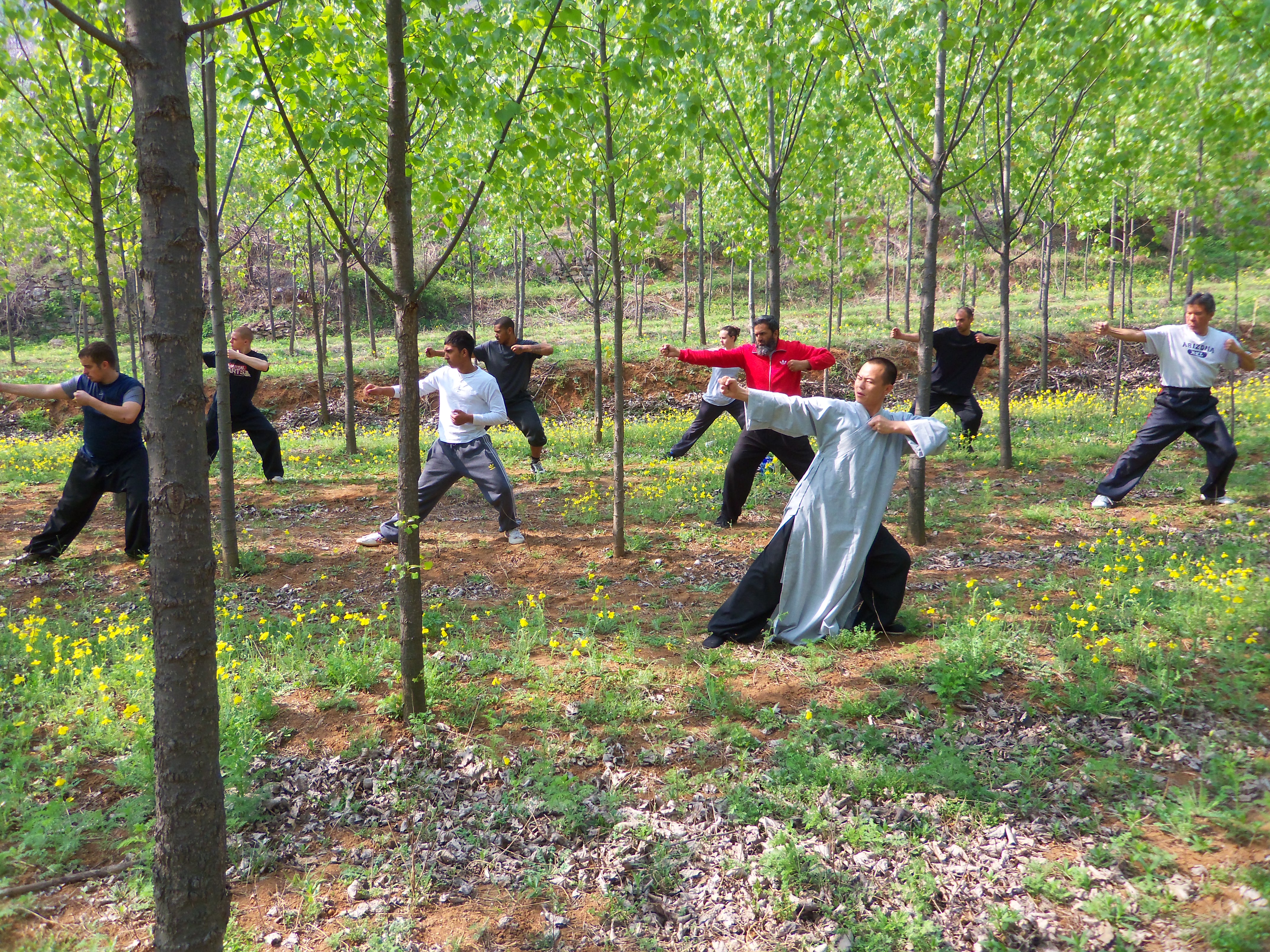 Qigong Practice