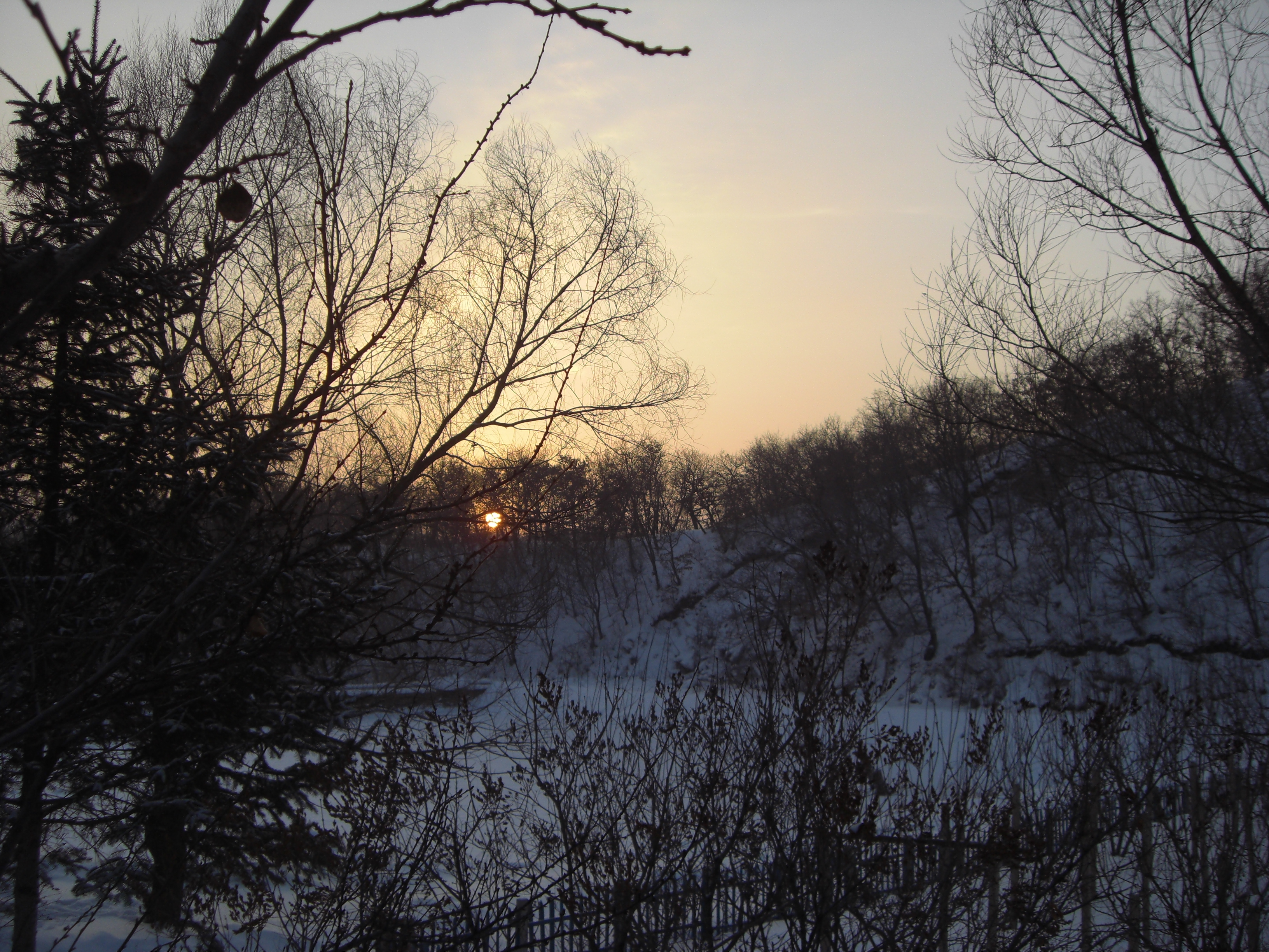 Winter at the school