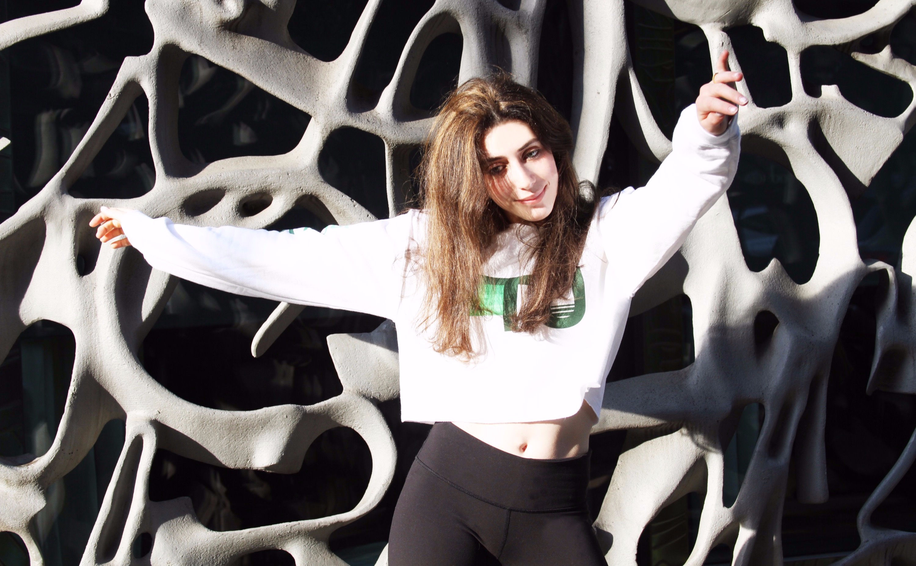 Aviator Nation Inspired Cropped Sweatshirt