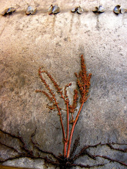 Liberation of Light Sold