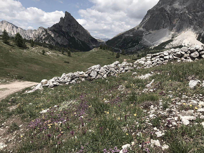 Corporate Development Novell Corporate Development United States