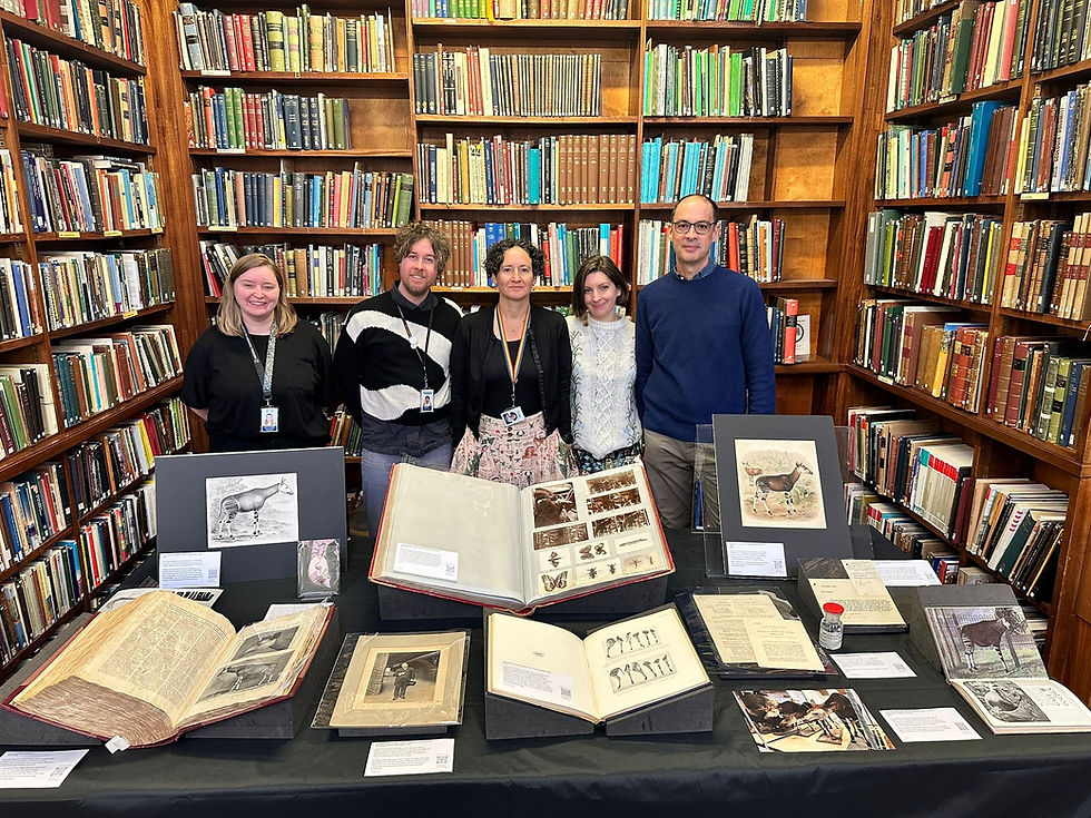 Okapi desk at the Natural History Museum