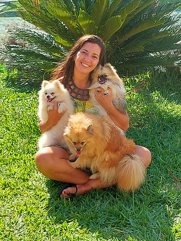 Lulu da Pomerânia