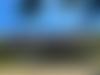 O que é um hostel e por que esse tipo de hospedagem está conquistando cada vez mais viajantes