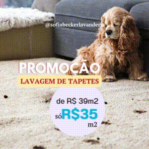 Lavanderia na Granja Viana