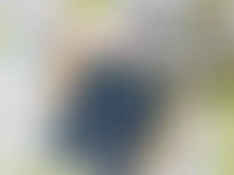 A crescente imigração de brasileiros para Portugal: um fenômeno em transformação