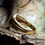 Thumbnail: Intaglio ring of an emperor