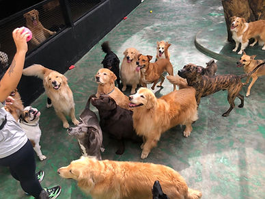 WhatsApp Image 2022-08-26 at 10.29.43.jpeg