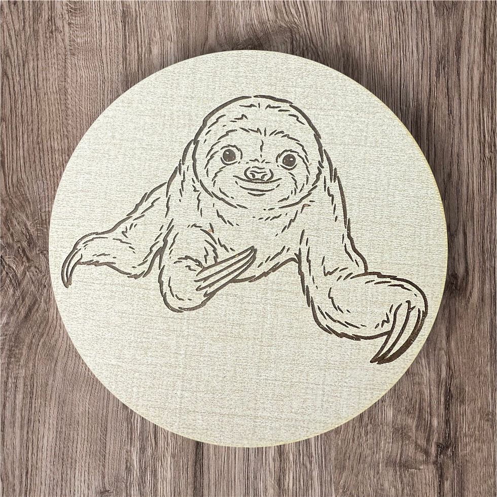 Thumbnail: Sloth Coasters (6)