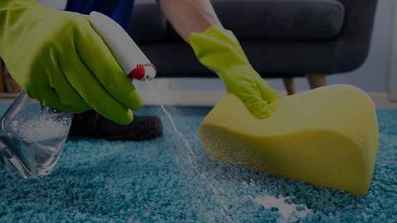 carpet stain removal_edited.jpg