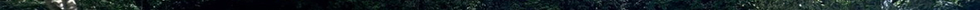 IMG_7111.PNG