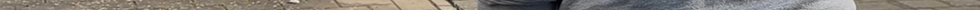 IMG_7120.PNG