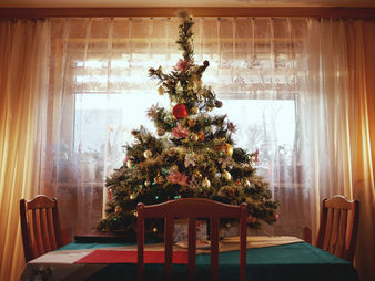 Safety Tips for Preventing Christmas Tree Fires