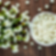 Mistletoe Medicinal Potential