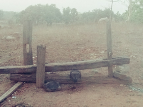 छत्तीसगढ के आदिवासी समुदाय, अपने इस आविष्कार के जरिए आसानी से निकाल लेते हैं बीजों से तेल