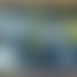 Book Review: Laburnum for My Head - A Window into Naga Life