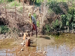 गर्मी के दिनों में छत्तीसगढ़ के आदिवासी जल संरक्षण कर आलू उगा रहे हैं।