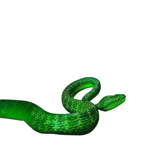 Green snake.png
