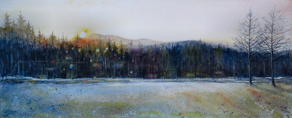 Woodland Wander