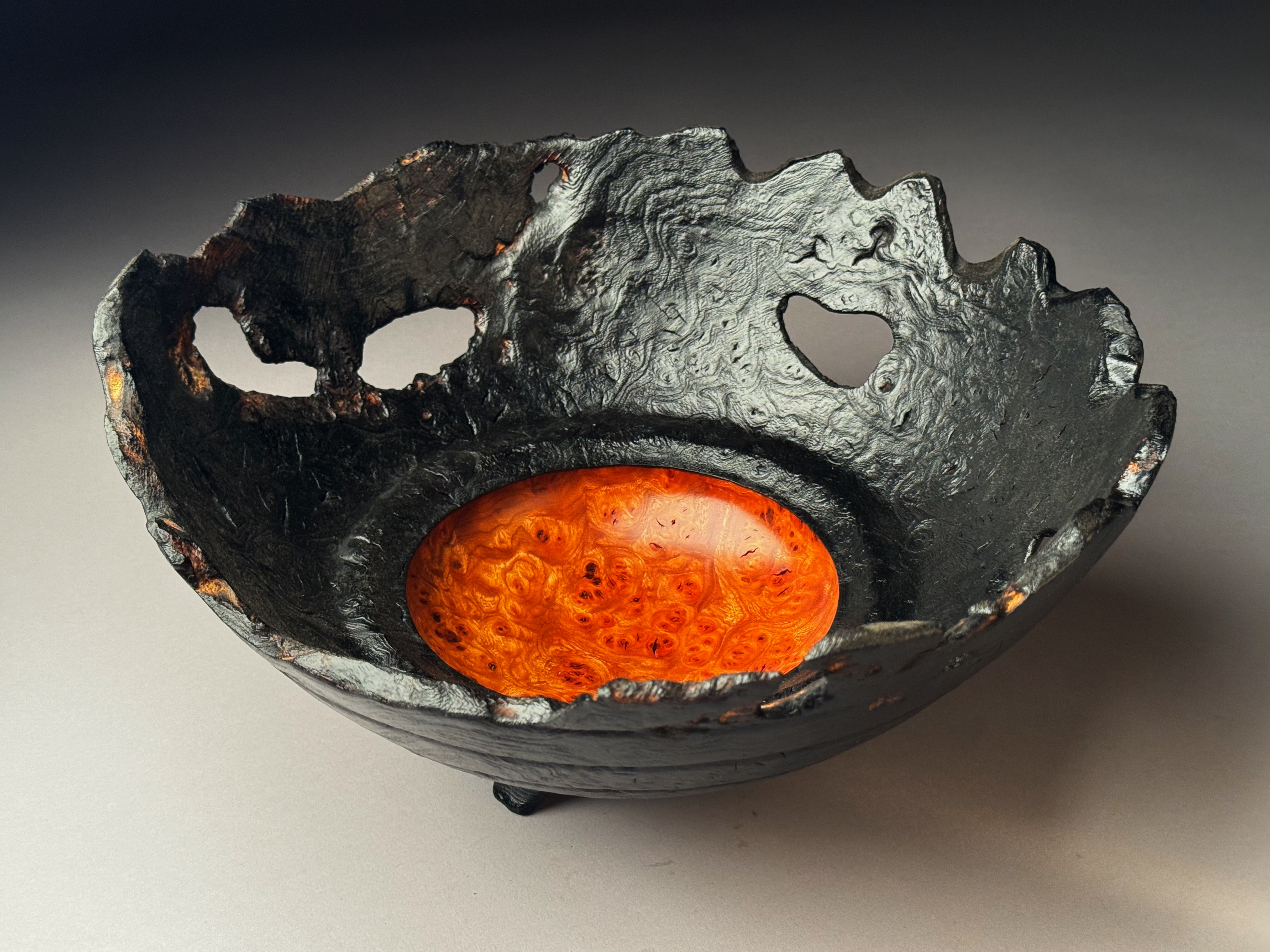 Burr Elm Bowl with Burnt Rim
