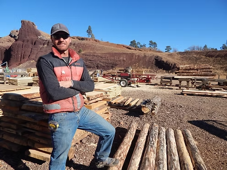 Welcome to AP Sawmill: Sustainable Lumber from Locally Salvaged Trees in Flagstaff