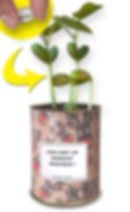 Le cadeau qui ne cesse de grandir...  
Des messages qui poussent !
Graine gravée personnalisable