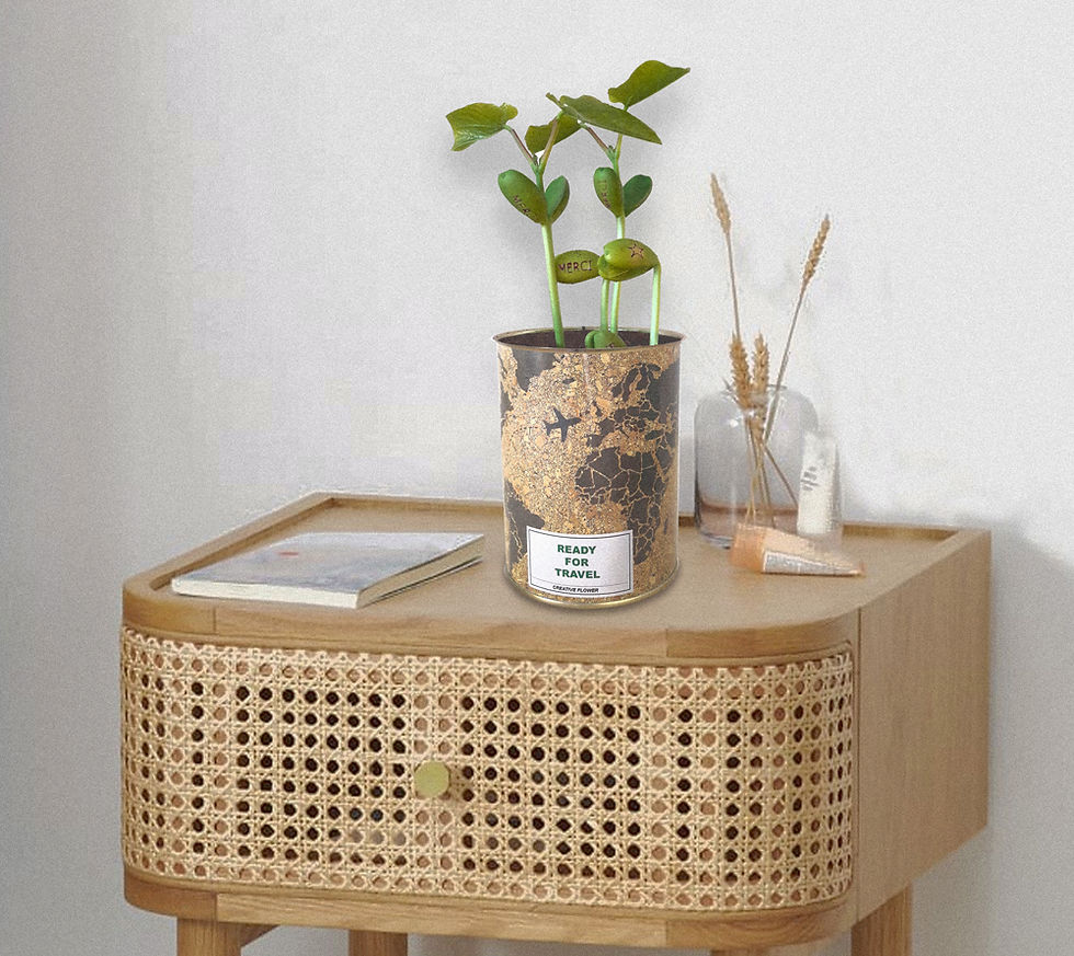 Miniature : Haricot Magique Art déco "VOYAGE"