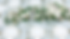 Parsongage-elopement-wedding-charleston-sc-nicole-fehr-photography-162_edited_edited.png