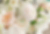 Parsongage-elopement-wedding-charleston-sc-nicole-fehr-photography-333.jpg