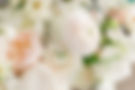 Parsongage-elopement-wedding-charleston-sc-nicole-fehr-photography-333.jpg