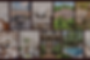 Photo-Collage.png