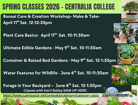 spring.centralia.2026.png
