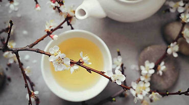 white-tea-in-cup-1296x728.jpg