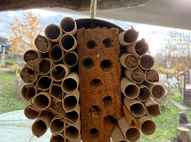 Insektenhotelk.jpg