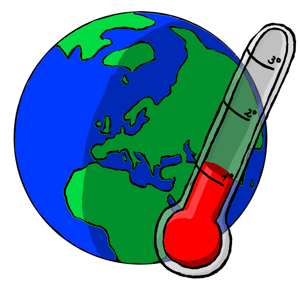Klimabildung - Fachdialog
