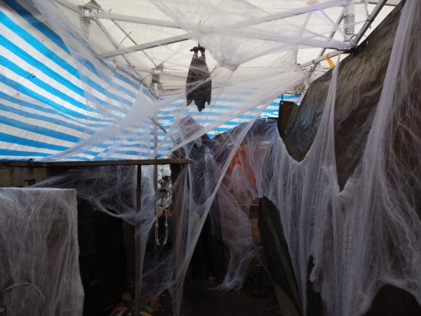 Halloween im Biberbau