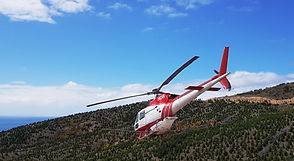 20201008_120400(0).jpg