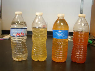 What's in YOUR Water?